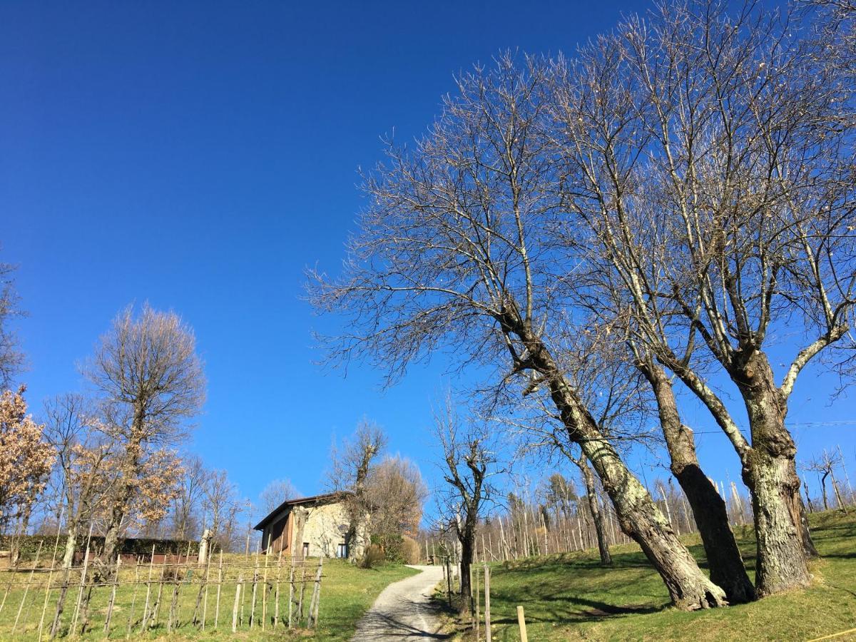 Agriturismo Braccicorti Pieve Fosciana Zewnętrze zdjęcie